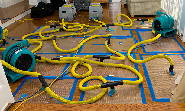 Professional Water Damage Repair technician working in Anderson, MO